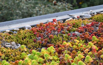 the cost of Goldington green roof installation