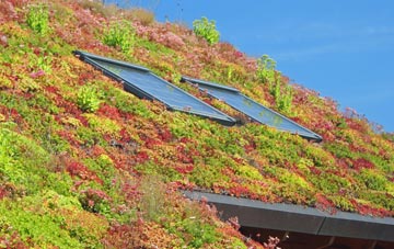 Goldington living roof systems