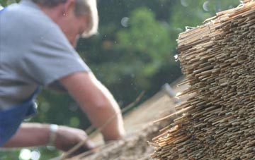 professional Goldington thatchers