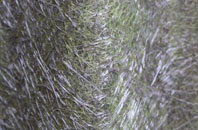 Goldington fibreglass roof work