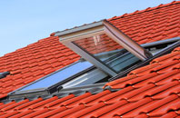 Goldington roof window